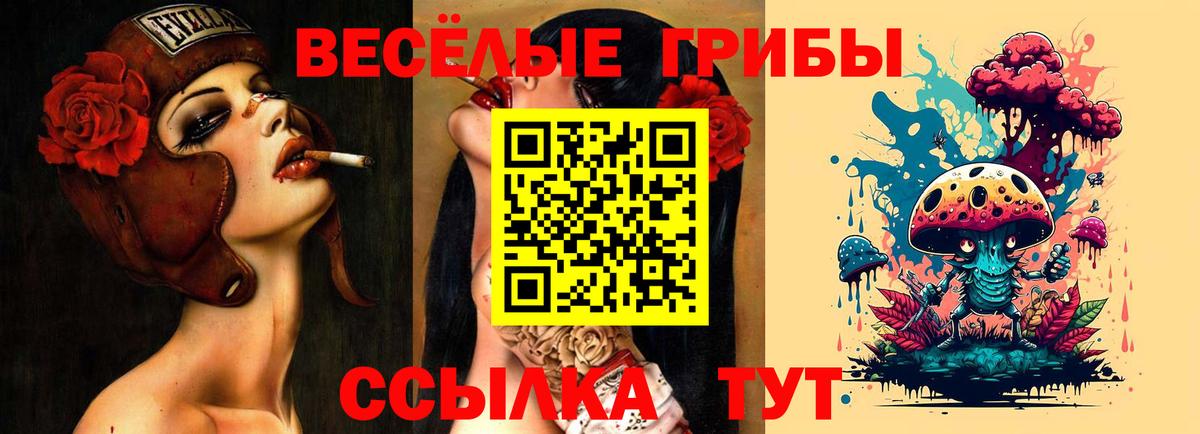 Обь  Галлюциногенные грибы прущие грибы  Вход с VPN 